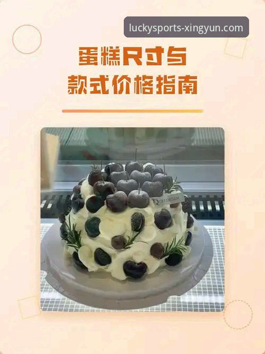 杏运体育平台登录入口安全评测与使用完整指南