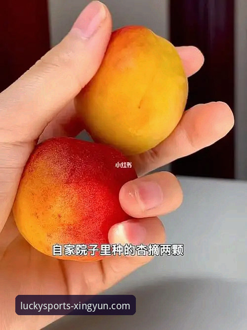 3步验证与5大要点：一份详尽的杏运体育官网安全吗攻略